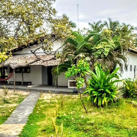 Villa Casamare أتينز المظهر الخارجي الصورة