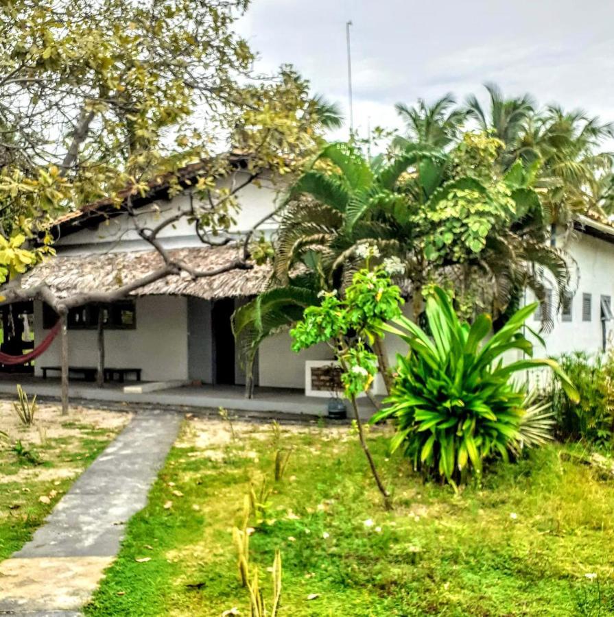 Villa Casamare أتينز المظهر الخارجي الصورة