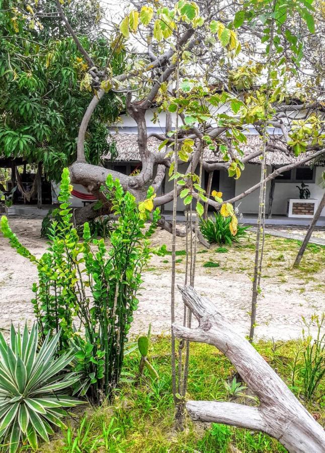 Villa Casamare أتينز المظهر الخارجي الصورة