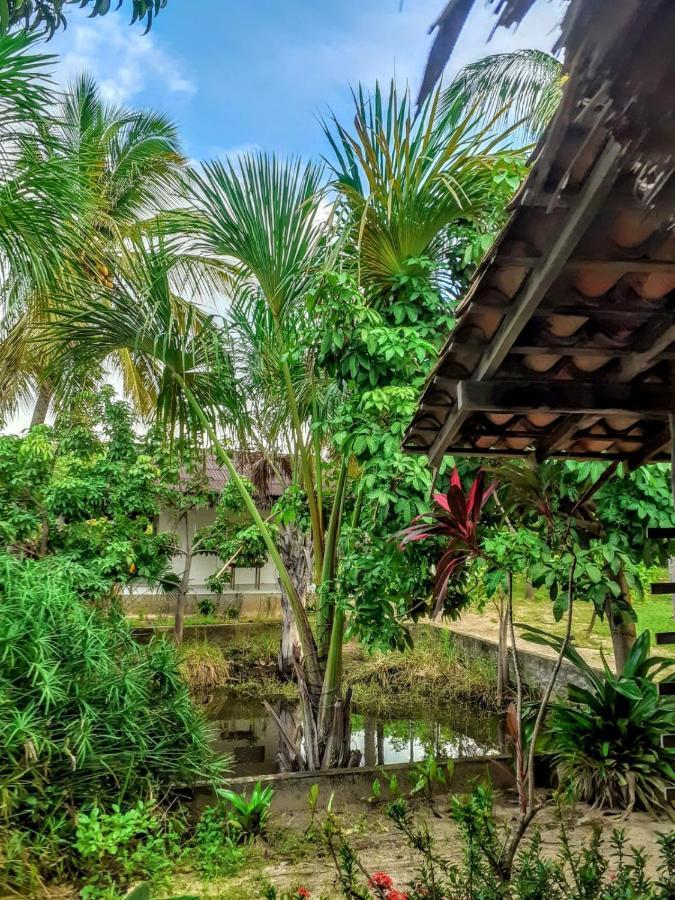 Villa Casamare أتينز المظهر الخارجي الصورة