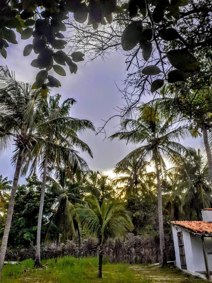 Villa Casamare أتينز المظهر الخارجي الصورة