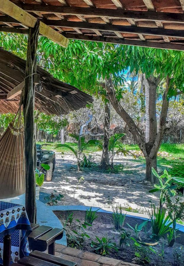 Villa Casamare أتينز المظهر الخارجي الصورة